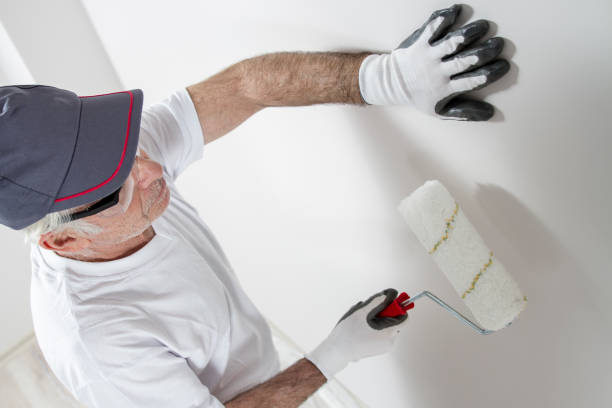 Best Mold Damage Restoration  in Atchison, KS