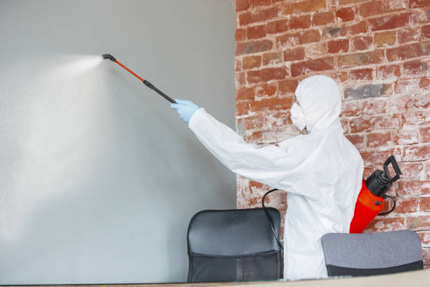 Best Comprehensive Air Testing for Mold Contaminants  in Atchison, KS