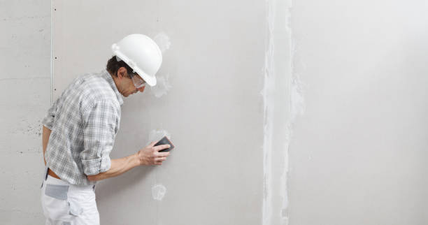 Best Basement Mold Removal  in Atchison, KS