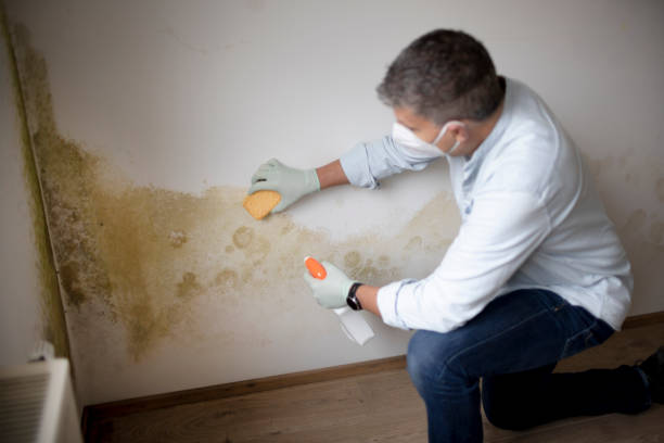 Best Mold Documentation for Insurance Claims  in Atchison, KS