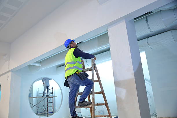 Best Environmental Consulting for Mold Prevention  in Atchison, KS