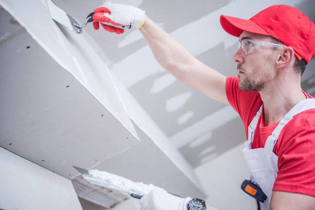 Best Mold Odor Removal Services  in Atchison, KS
